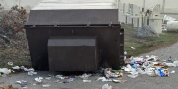 Food-conditioned grizzly bear trapped and killed in Yellowstone National Park