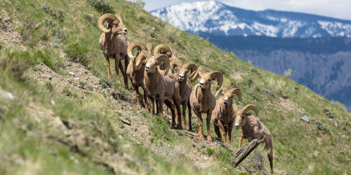 Dispatches from the Wild: The Nature Conservancy 
