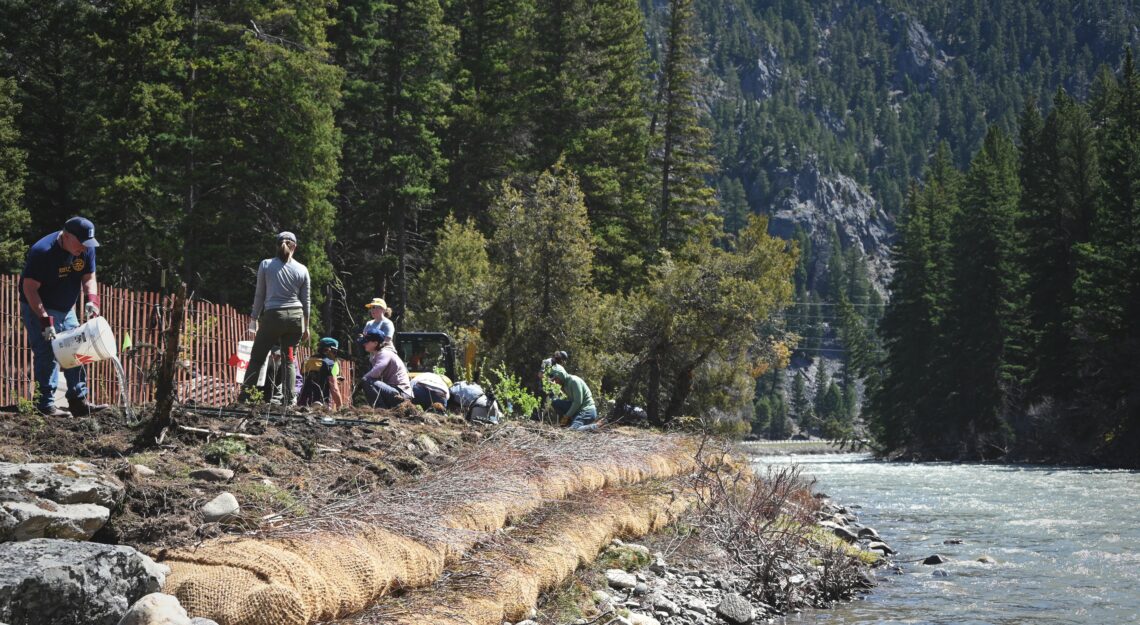 Thriving Landscapes: Collective action sparks change