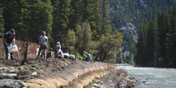 Thriving Landscapes: Collective action sparks change