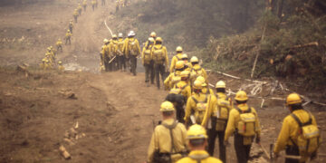 GPS-linked audio tour connects Yellowstone visitors to 1988 fires 
