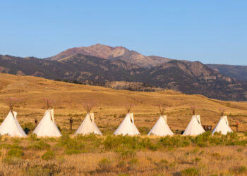 PHOTO BY MATT LUDIN / YELLOWSTONE FOREVER