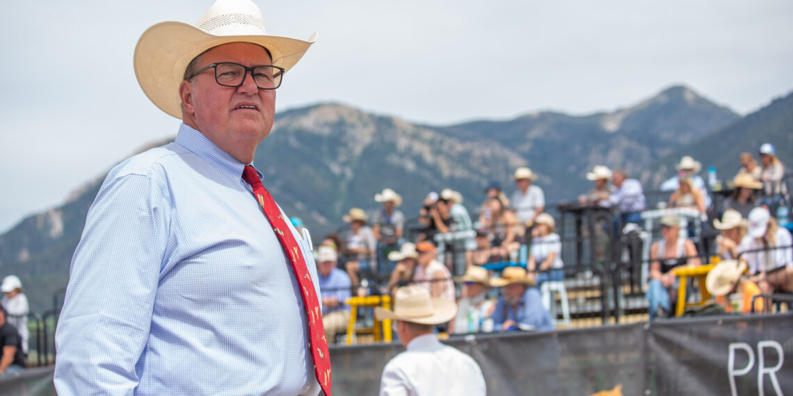 Big Sky hosts first-ever horse auction