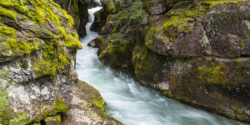 Glacier visitors rescued, survive fall into Avalanche Creek