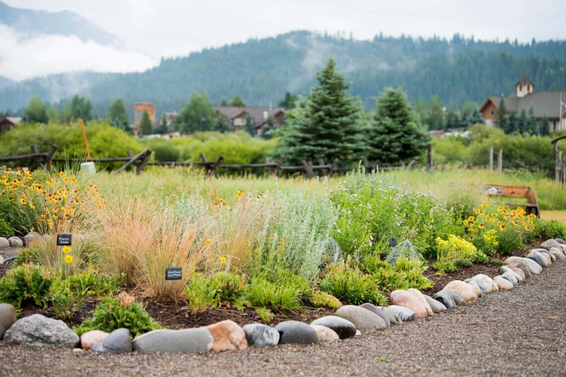 Every Drop Counts: A guide to sustainable turf conversion