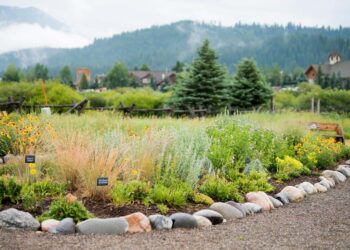 A beautiful example of native plants and water-wise practices in action at Crail Gardens. PHOTO COURTESY OF ALPENSCAPES