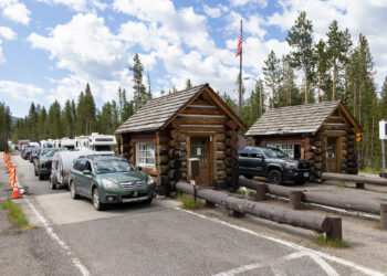 Yellowstone sees third-busiest July behind 2021, 2024