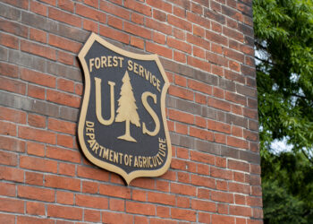 Dispatches from the Wild: Something smells fishy 