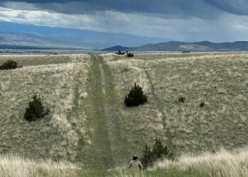 Butte pipeline. PHOTO COURTESY OF BLM