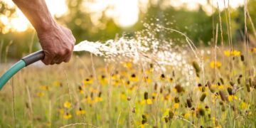 Thriving Landscapes: Building resilience against fire and drought in Big Sky