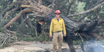 Wildfire Wire: Q&A with BSFD Wildland Fire Chief Jon Trapp 