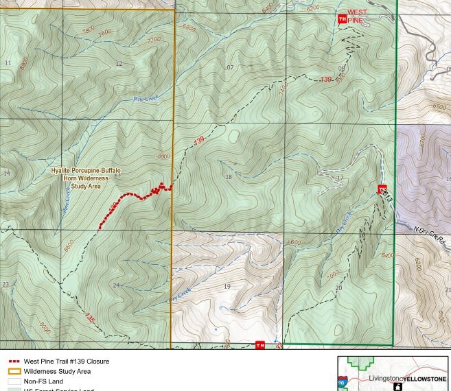 Bear attractants close local trails