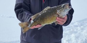 Making it in Big Sky: Colton Weskamp with Borealis Fuels & Logistics