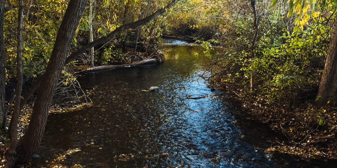 A new ballot initiative promises to solve both water and housing in Bozeman. Would it?
