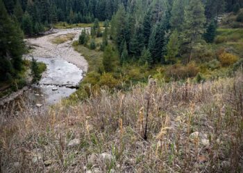 South Fork of the West Fork of the Gallatin River in September 2025. PHOTO COURTESY OF GALLATIN RIVER TASK FORCE