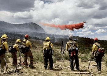 Wildfire services remain independent in new federal plans  