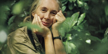 Museum of the Rockies to open immersive multimedia exhibit on the legacy of Jane Goodall 