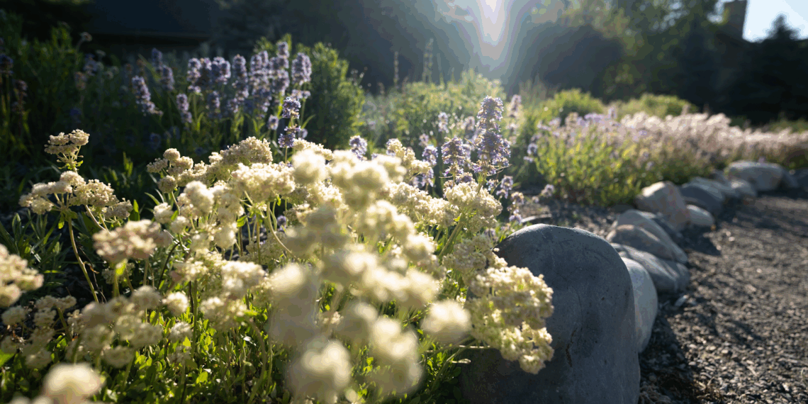 Thriving Landscapes: How fire-resistant, water-Wise, native landscapes support each other 