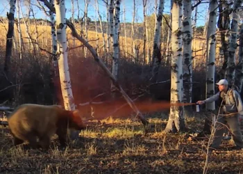 Wyoming Game and Fish created a video to demonstrate how to use bear spray. PHOTO COURTESY OF WYOMING GAME AND FISH DEPARTMENT