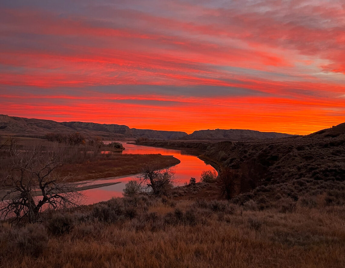 Dispatches from the Wild: Bluetongue strikes Montana’s deer population 