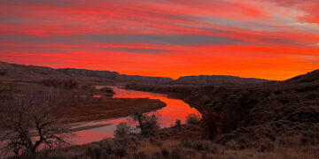Dispatches from the Wild: Bluetongue strikes Montana’s deer population 