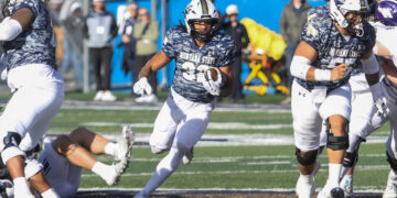 Winning eight straight, Bobcats show dominance in topsy-turvy season 