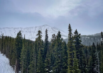 Moonlight Community Foundation awards $1M in 2025 grants