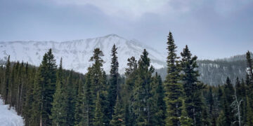 Moonlight Community Foundation awards $1M in 2025 grants 