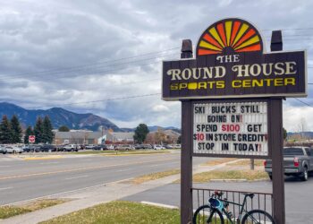 Gift and Gear Guide 2025