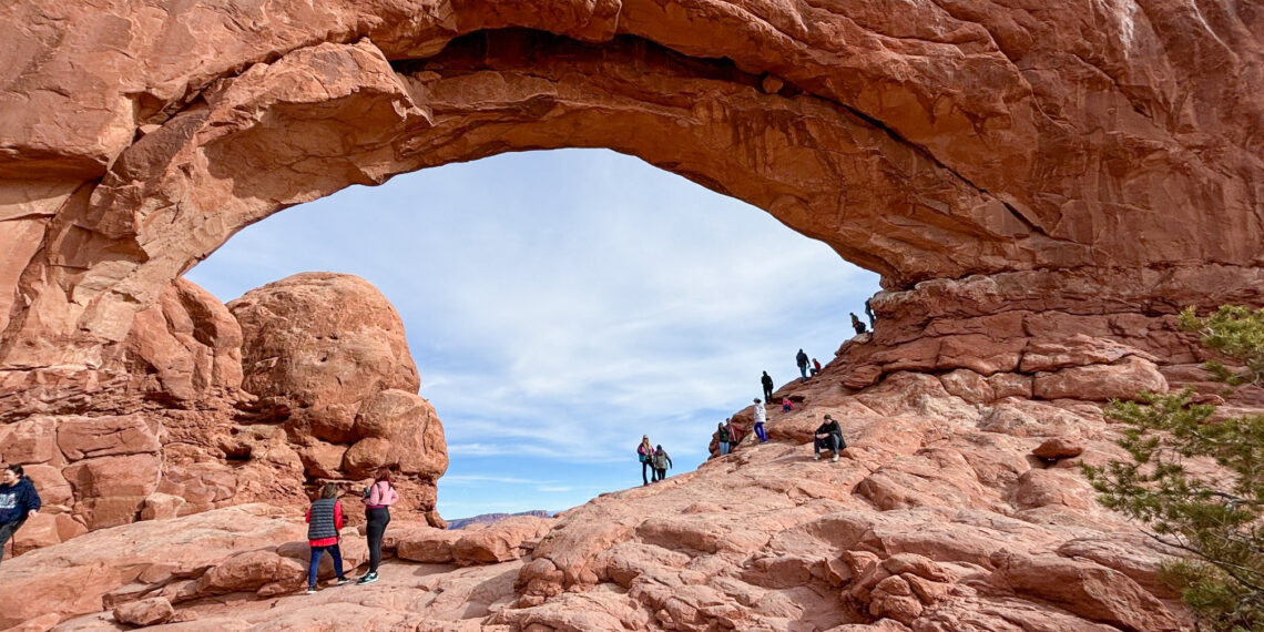 What happens to our parks when rangers  disappear?    