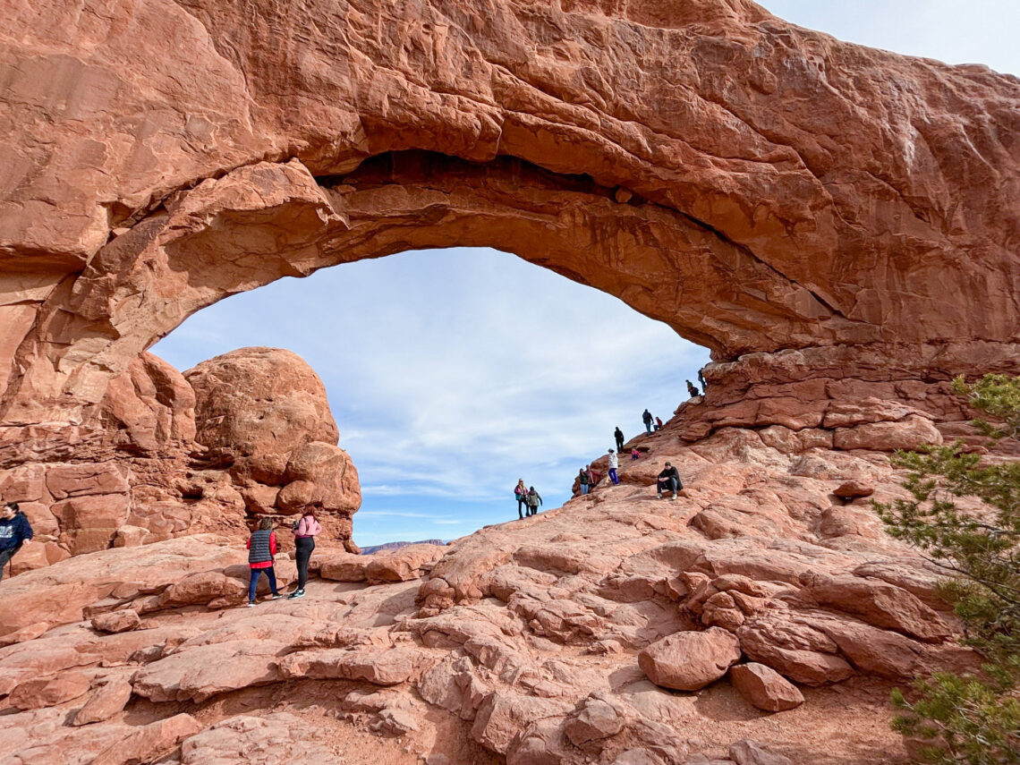 What happens to our parks when rangers  disappear?    