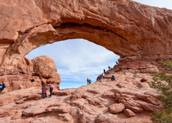 What happens to our parks when rangers  disappear?    