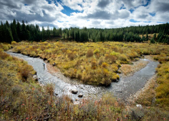 Every Drop Counts: 25 Years of the Gallatin River Task Force