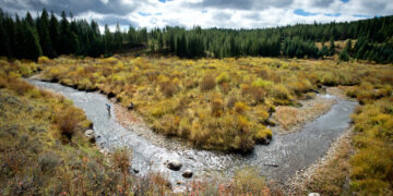 Every Drop Counts: 25 Years of the Gallatin River Task Force