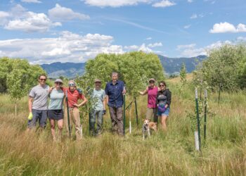 Greater Gallatin United Way donates $230K to regional nonprofits