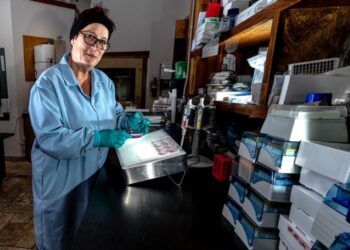 New ALS diagnostic blood test