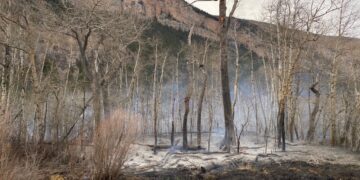 Natural Bridge Fire determined human-caused