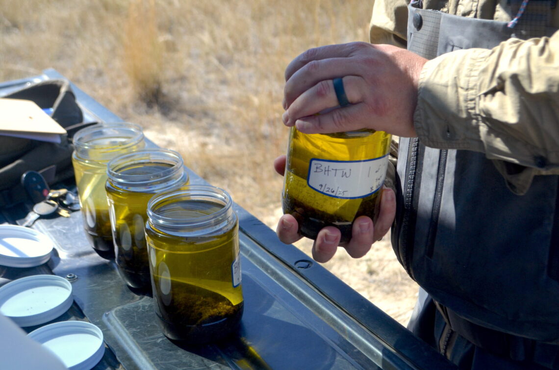 Waterkeeper petitions DEQ again to list Big Hole as impaired