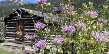 Thriving Landscapes: Alpenscapes in Action