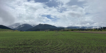 GVLT partnership permanently conserves 190 acres near South Cottonwood Creek