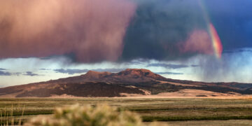 Giving color to private land: How PERC finds common ground in conservation and ranching
