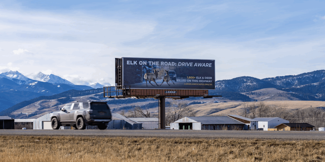 New U.S. 191 billboards warn drivers of crossing wildlife