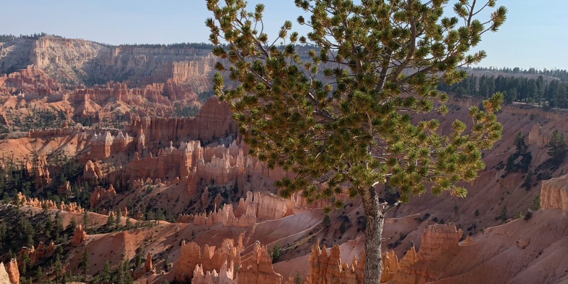 What Western writers cared about during a tumultuous year