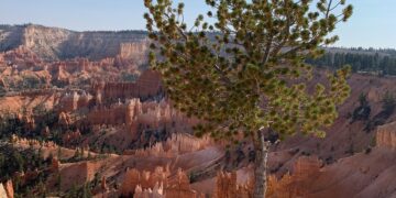 What Western writers cared about during a tumultuous year