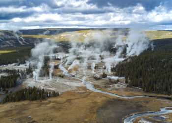 Yellowstone Forever Institute celebrates 50 years educating park visitors