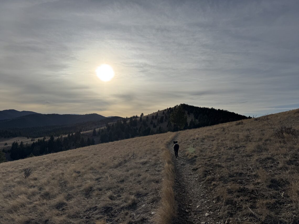 Many Montana cities record historically warm winter temperatures