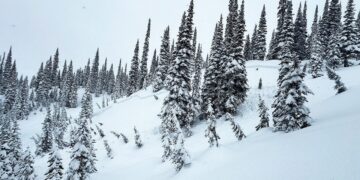 Avalanche forecasters warn of ‘considerable’ slide risks after late-winter storm
