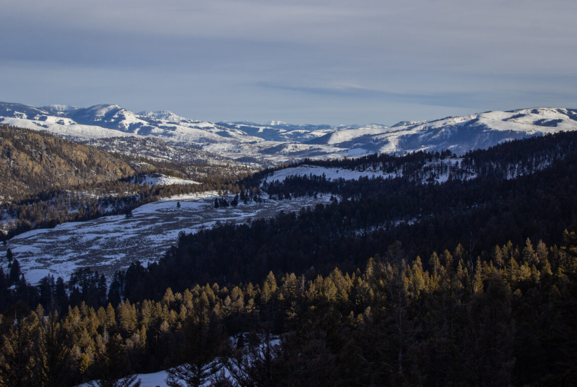 Online summit hosts experts, park staff, storytellers to celebrate Yellowstone 