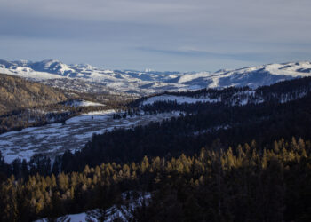 Online summit hosts experts, park staff, storytellers to celebrate Yellowstone