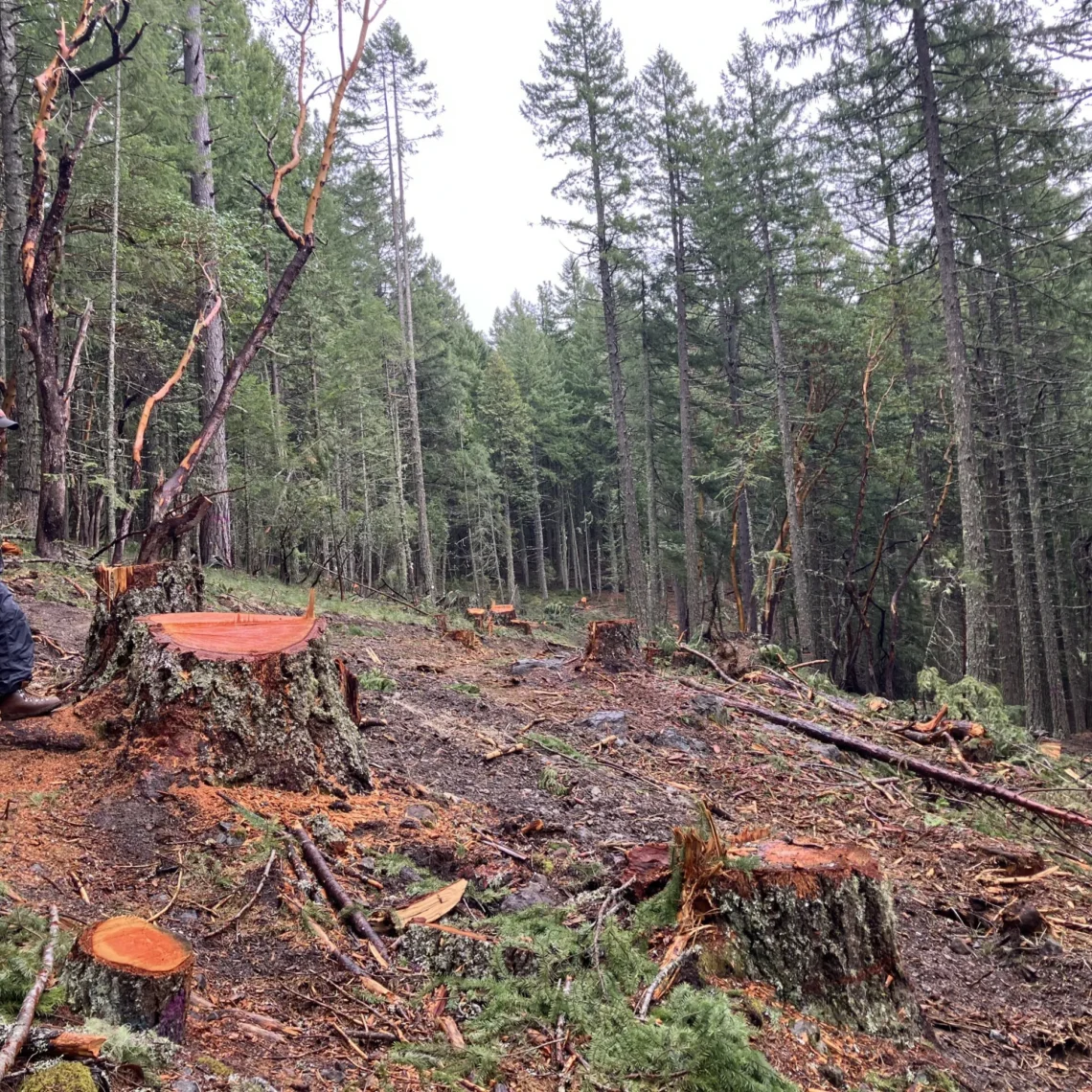 The Bureau of Land Management is running amok